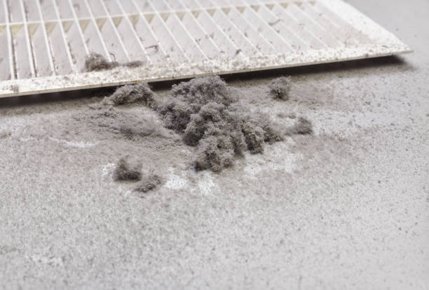 Best Duct Cleaning for Offices  in Hayesville, OR