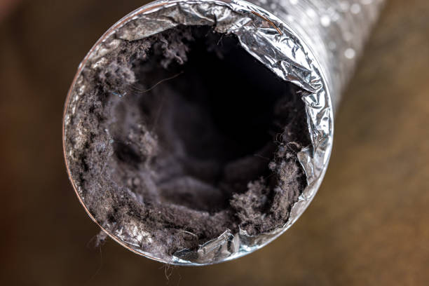 Best Dryer Vent Cleaning Services  in Hayesville, OR